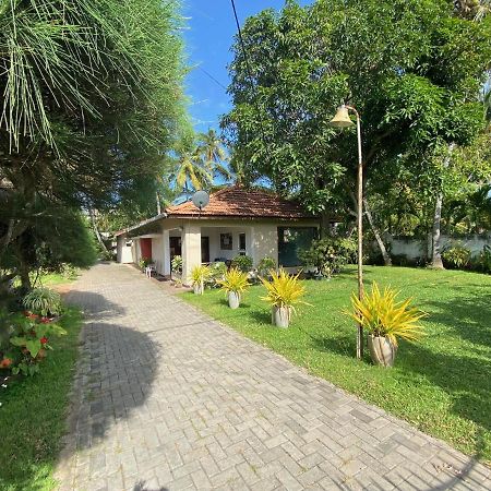 Lodge 87 Negombo Bagian luar foto