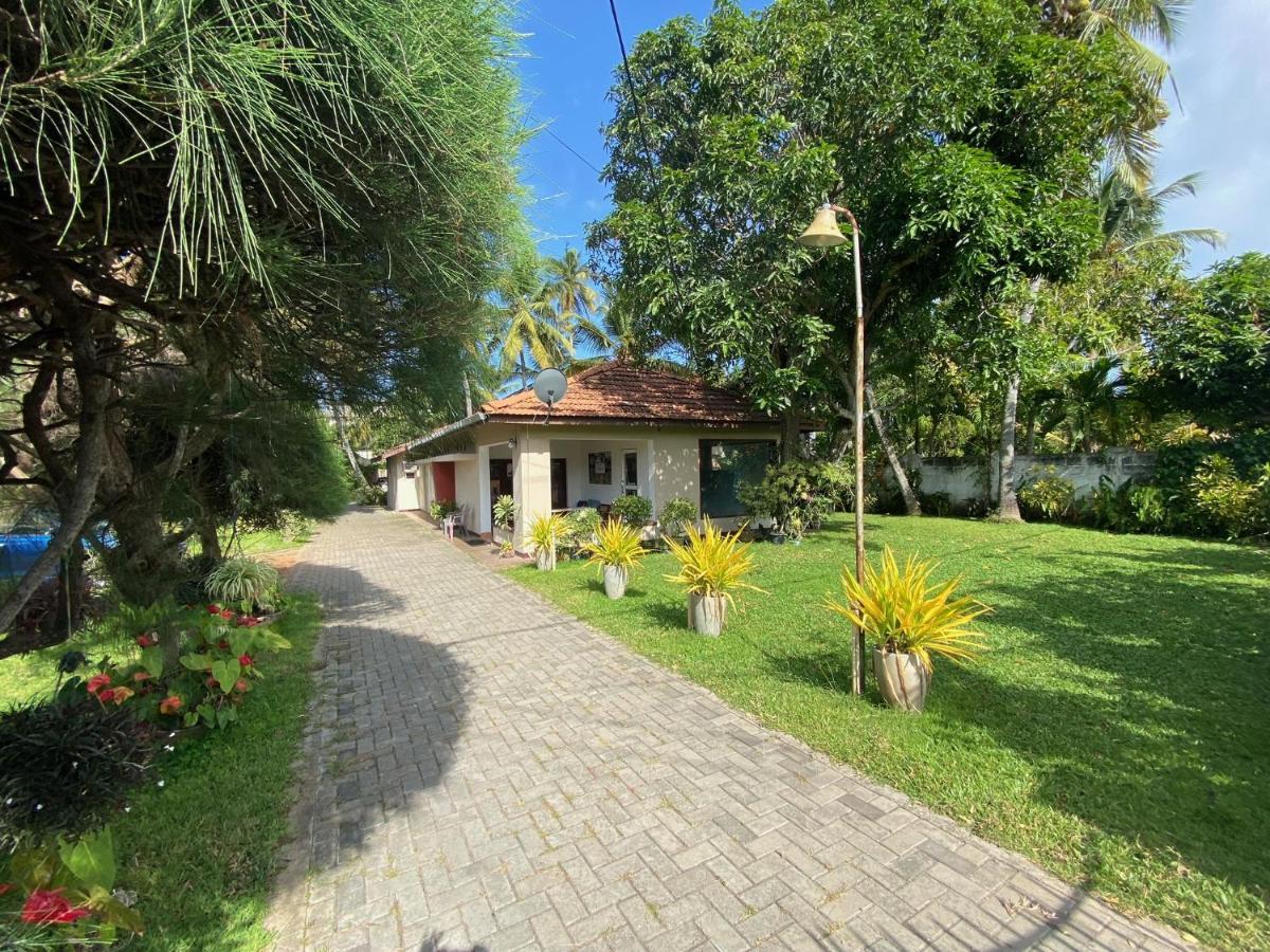Lodge 87 Negombo Bagian luar foto